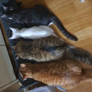 베스트 후기 이미지