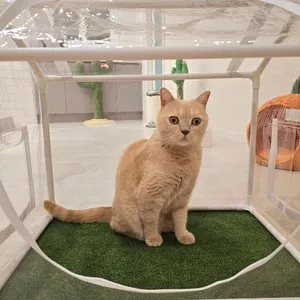 베스트 후기 이미지