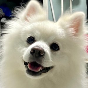 베스트 후기 이미지