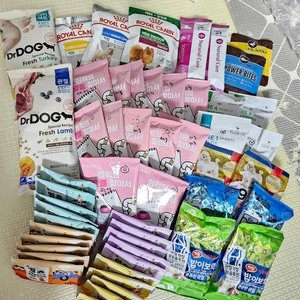 보나시보 독 치킨 엔초비&라이스 어덜트 라지브리드 4kg 베스트 후기 이미지