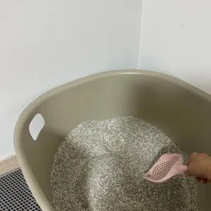 베스트 후기 이미지