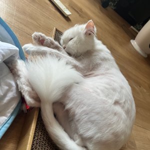 베스트 후기 이미지