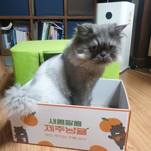 베스트 후기 이미지