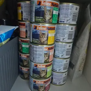 베스트 후기 이미지