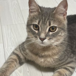 베스트 후기 이미지
