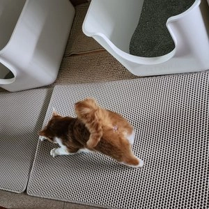 ㅁㅊ 모래매트 브라운 중형/대형 (중형 60X65 / 대형 60X100cm) 베스트 후기 이미지