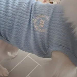 베스트 후기 이미지