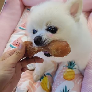 베스트 후기 이미지
