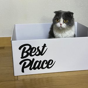 베스트 후기 이미지