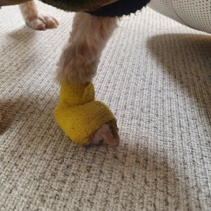 베스트 후기 이미지