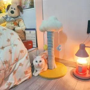 베스트 후기 이미지