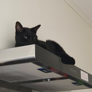 베스트 후기 이미지