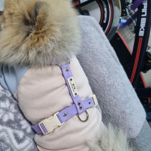 베스트 후기 이미지