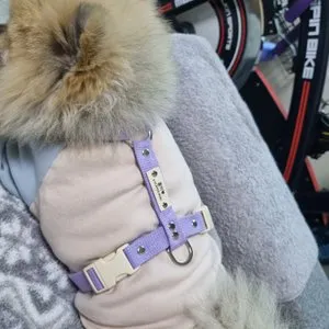 베스트 후기 이미지