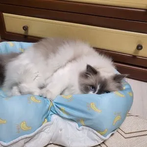 베스트 후기 이미지