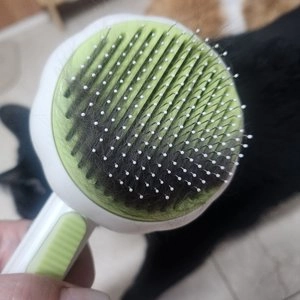 [무료배송][랜덤발송] 네오짱 쏙 원터치 브러쉬 라이트옐로우/화이트/그린 베스트 후기 이미지