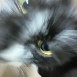 베스트 후기 이미지