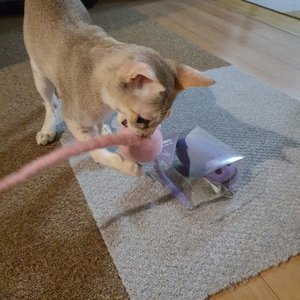 베스트 후기 이미지