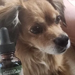 베스트 후기 이미지