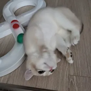 베스트 후기 이미지