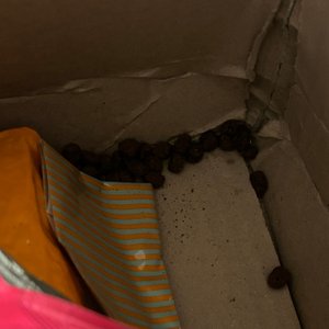 베스트 후기 이미지