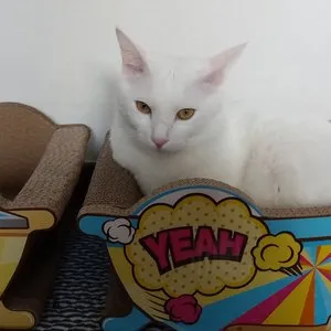 베스트 후기 이미지