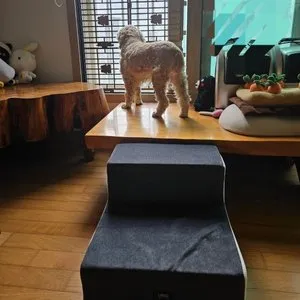 베스트 후기 이미지