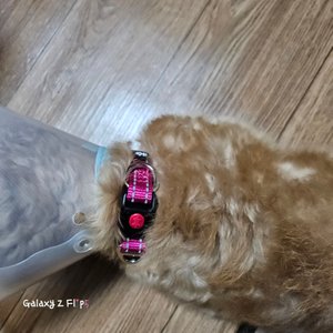 베스트 후기 이미지