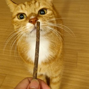 베스트 후기 이미지