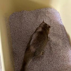 베스트 후기 이미지