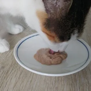 베스트 후기 이미지