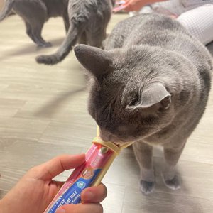 베스트 후기 이미지