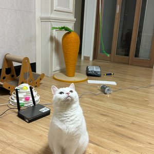 베스트 후기 이미지