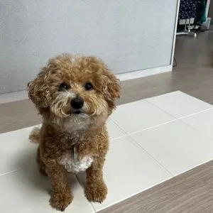 베스트 후기 이미지