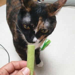베스트 후기 이미지