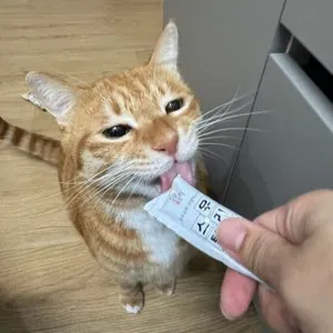 베스트 후기 이미지