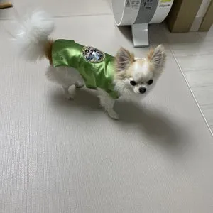 베스트 후기 이미지