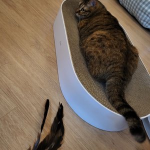 베스트 후기 이미지