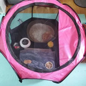 베스트 후기 이미지