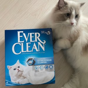 베스트 후기 이미지