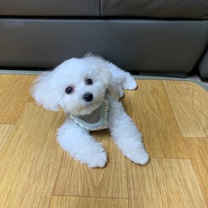베스트 후기 이미지