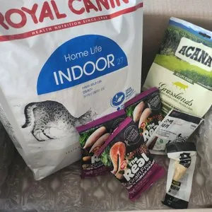 베스트 후기 이미지