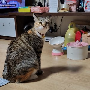 베스트 후기 이미지
