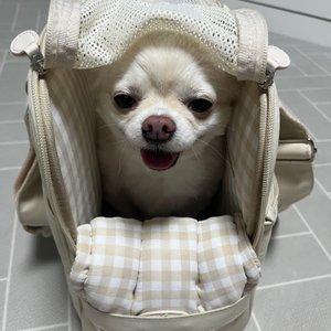 베스트 후기 이미지