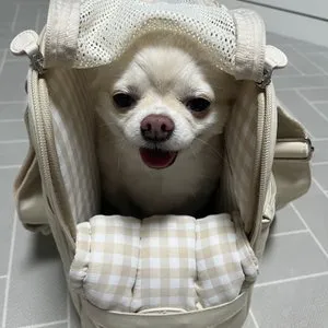 베스트 후기 이미지