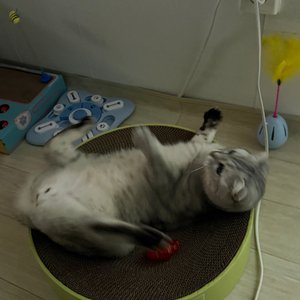 베스트 후기 이미지