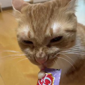 베스트 후기 이미지