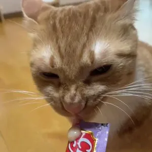 베스트 후기 이미지