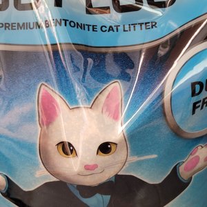 베스트 후기 이미지