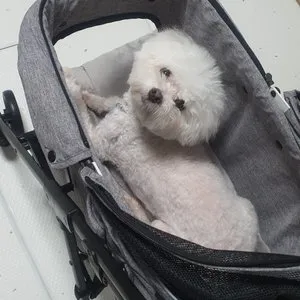 베스트 후기 이미지